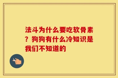法斗为什么要吃软骨素？狗狗有什么冷知识是我们不知道的