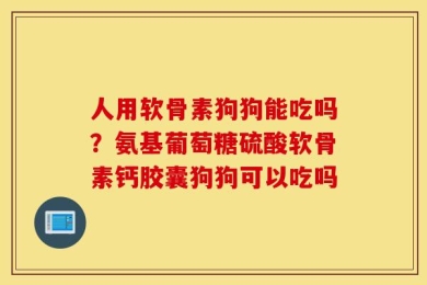 人用软骨素狗狗能吃吗？氨基葡萄糖硫酸软骨素钙胶囊狗狗可以吃吗