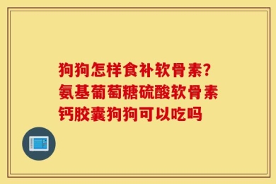 狗狗怎样食补软骨素？氨基葡萄糖硫酸软骨素钙胶囊狗狗可以吃吗