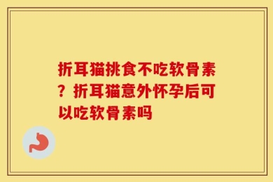 折耳猫挑食不吃软骨素？折耳猫意外怀孕后可以吃软骨素吗