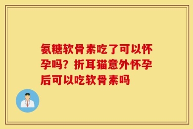 氨糖软骨素吃了可以怀孕吗？折耳猫意外怀孕后可以吃软骨素吗