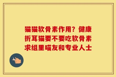 猫猫软骨素作用？健康折耳猫要不要吃软骨素求组里喵友和专业人士