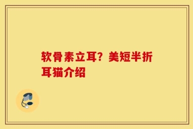 软骨素立耳？美短半折耳猫介绍