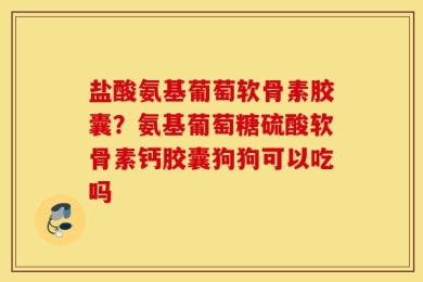 盐酸氨基葡萄软骨素胶囊？氨基葡萄糖硫酸软骨素钙胶囊狗狗可以吃吗