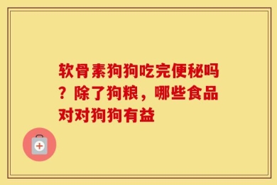 软骨素狗狗吃完便秘吗？除了狗粮，哪些食品对对狗狗有益