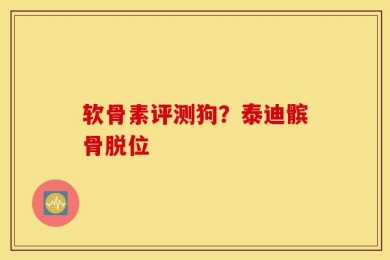 软骨素评测狗？泰迪髌骨脱位