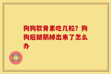 狗狗软骨素吃几粒？狗狗后腿筋掉出来了怎么办