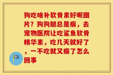 狗吃啥补软骨素好呢图片？狗狗腿总是瘸，去宠物医院让吃鲨鱼软骨精华素，吃几天就好了，一不吃就又瘸了怎么回事