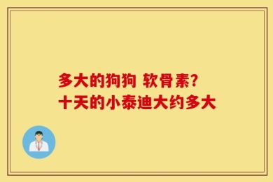 多大的狗狗 软骨素？十天的小泰迪大约多大