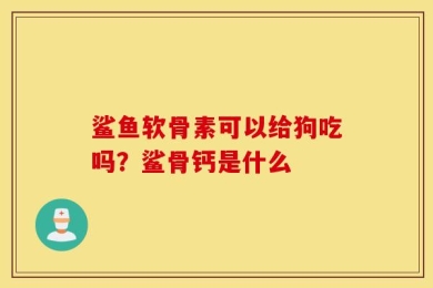 鲨鱼软骨素可以给狗吃吗？鲨骨钙是什么