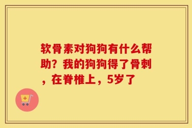 软骨素对狗狗有什么帮助？我的狗狗得了骨刺，在脊椎上，5岁了