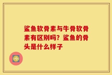 鲨鱼软骨素与牛骨软骨素有区别吗？鲨鱼的骨头是什么样子