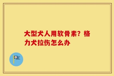 大型犬人用软骨素？格力犬拉伤怎么办