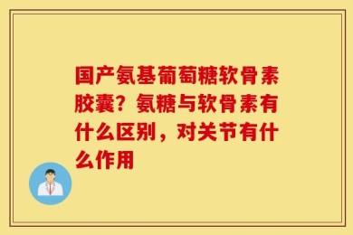 国产氨基葡萄糖软骨素胶囊？氨糖与软骨素有什么区别，对关节有什么作用