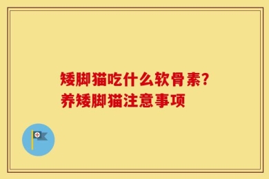 矮脚猫吃什么软骨素？养矮脚猫注意事项