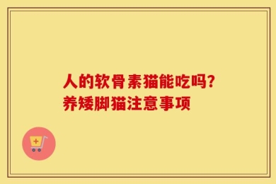 人的软骨素猫能吃吗？养矮脚猫注意事项