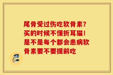 尾骨受过伤吃软骨素？买的时候不懂折耳猫！是不是每个都会患病软骨素要不要提前吃