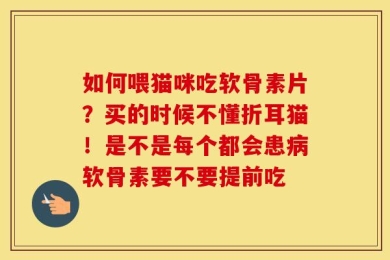 如何喂猫咪吃软骨素片？买的时候不懂折耳猫！是不是每个都会患病软骨素要不要提前吃