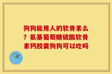 狗狗能用人的软骨素么？氨基葡萄糖硫酸软骨素钙胶囊狗狗可以吃吗