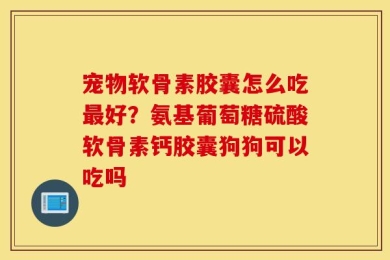 宠物软骨素胶囊怎么吃最好？氨基葡萄糖硫酸软骨素钙胶囊狗狗可以吃吗