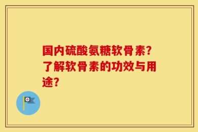 国内硫酸氨糖软骨素？了解软骨素的功效与用途？