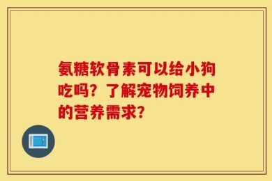 氨糖软骨素可以给小狗吃吗？了解宠物饲养中的营养需求？