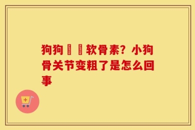 狗狗鯊魚软骨素？小狗骨关节变粗了是怎么回事