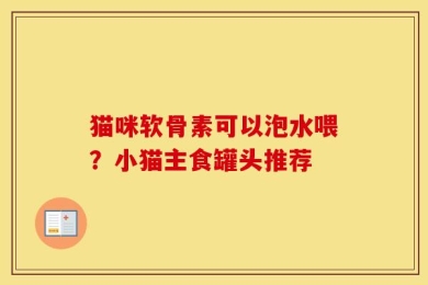 猫咪软骨素可以泡水喂？小猫主食罐头推荐