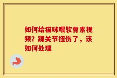 如何给猫咪喂软骨素视频？踝关节扭伤了，该如何处理