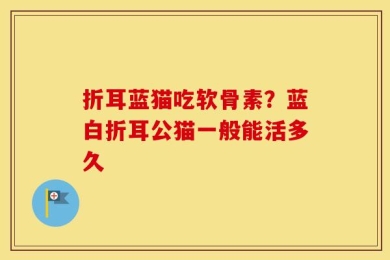 折耳蓝猫吃软骨素？蓝白折耳公猫一般能活多久