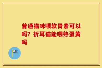 普通猫咪喂软骨素可以吗？折耳猫能喂熟蛋黄吗