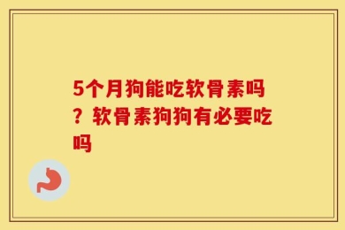 5个月狗能吃软骨素吗？软骨素狗狗有必要吃吗