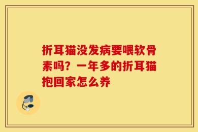 折耳猫没发病要喂软骨素吗？一年多的折耳猫抱回家怎么养