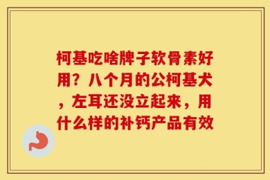 柯基吃啥牌子软骨素好用？八个月的公柯基犬，左耳还没立起来，用什么样的补钙产品有效