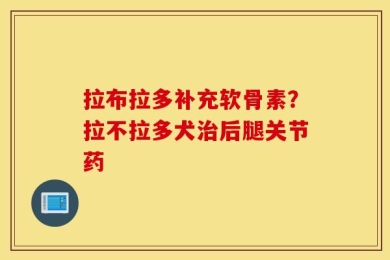 拉布拉多补充软骨素？拉不拉多犬治后腿关节药