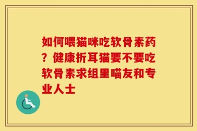 如何喂猫咪吃软骨素药？健康折耳猫要不要吃软骨素求组里喵友和专业人士
