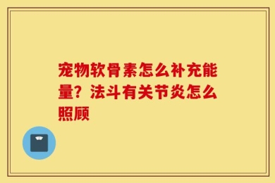 宠物软骨素怎么补充能量？法斗有关节炎怎么照顾
