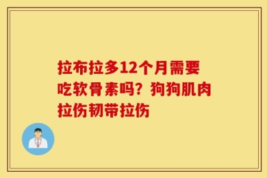 拉布拉多12个月需要吃软骨素吗？狗狗肌肉拉伤韧带拉伤