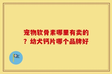 宠物软骨素哪里有卖的？幼犬钙片哪个品牌好