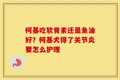 柯基吃软骨素还是鱼油好？柯基犬得了关节炎要怎么护理