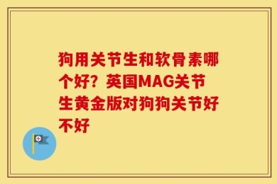 狗用关节生和软骨素哪个好？英国MAG关节生黄金版对狗狗关节好不好