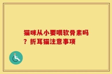猫咪从小要喂软骨素吗？折耳猫注意事项