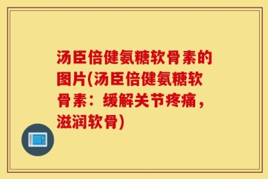 汤臣倍健氨糖软骨素的图片(汤臣倍健氨糖软骨素：缓解关节疼痛，滋润软骨)