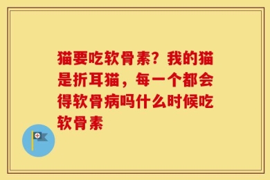 猫要吃软骨素？我的猫是折耳猫，每一个都会得软骨病吗什么时候吃软骨素