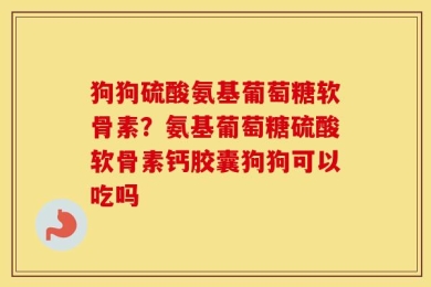 狗狗硫酸氨基葡萄糖软骨素？氨基葡萄糖硫酸软骨素钙胶囊狗狗可以吃吗
