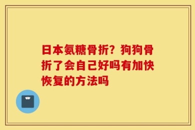 日本氨糖骨折？狗狗骨折了会自己好吗有加快恢复的方法吗