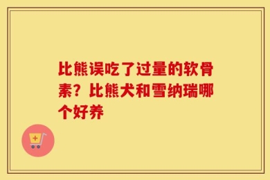比熊误吃了过量的软骨素？比熊犬和雪纳瑞哪个好养