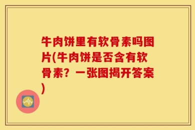 牛肉饼里有软骨素吗图片(牛肉饼是否含有软骨素？一张图揭开答案)