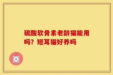 硫酸软骨素老龄猫能用吗？短耳猫好养吗