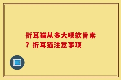 折耳猫从多大喂软骨素？折耳猫注意事项